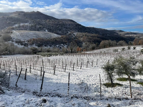 Castellaccio